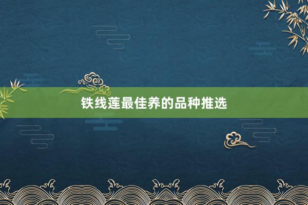 铁线莲最佳养的品种推选