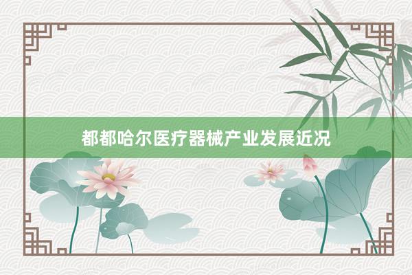 都都哈尔医疗器械产业发展近况